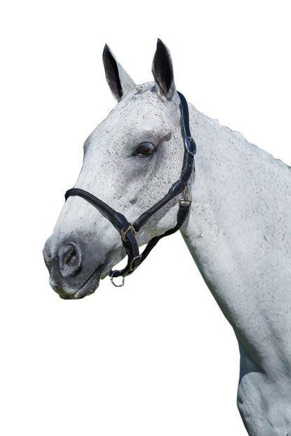 Kincade Leather Rope Headcollar
