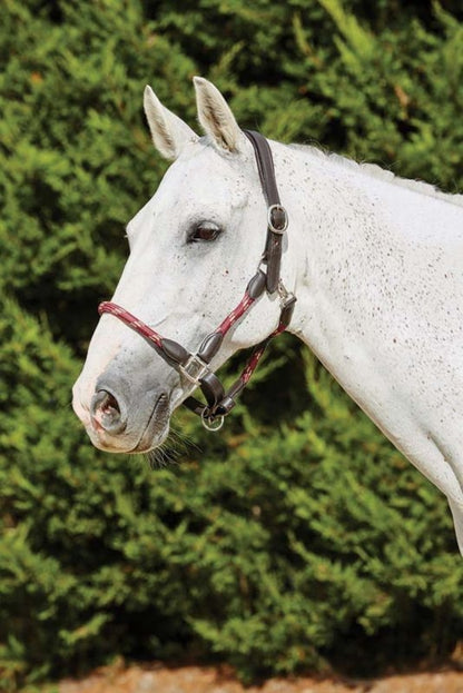 Kincade Leather Rope Headcollar