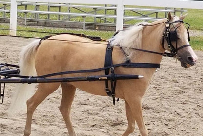 Ozark Mini/Pony Leather Harness