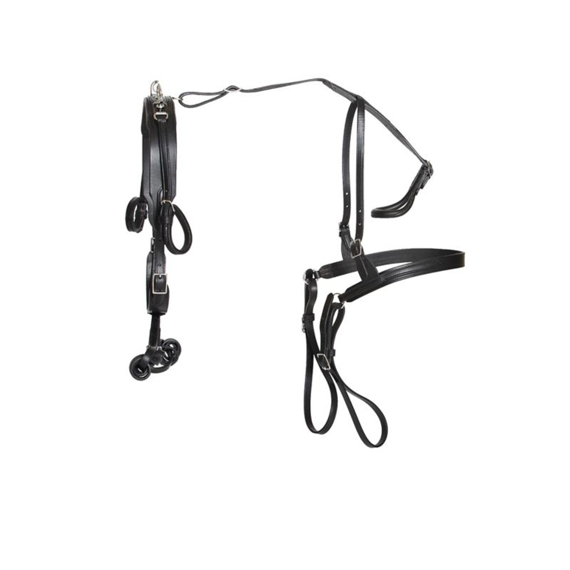Ozark Mini/Pony Leather Harness