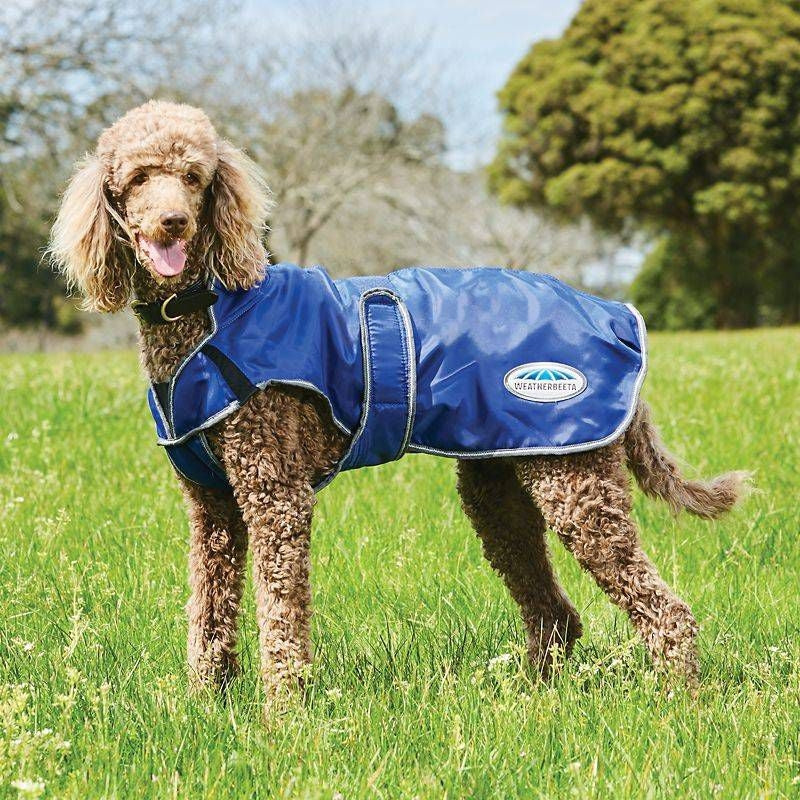 WB Comfitec Windbreaker Deluxe Dog Coat 14 Purple