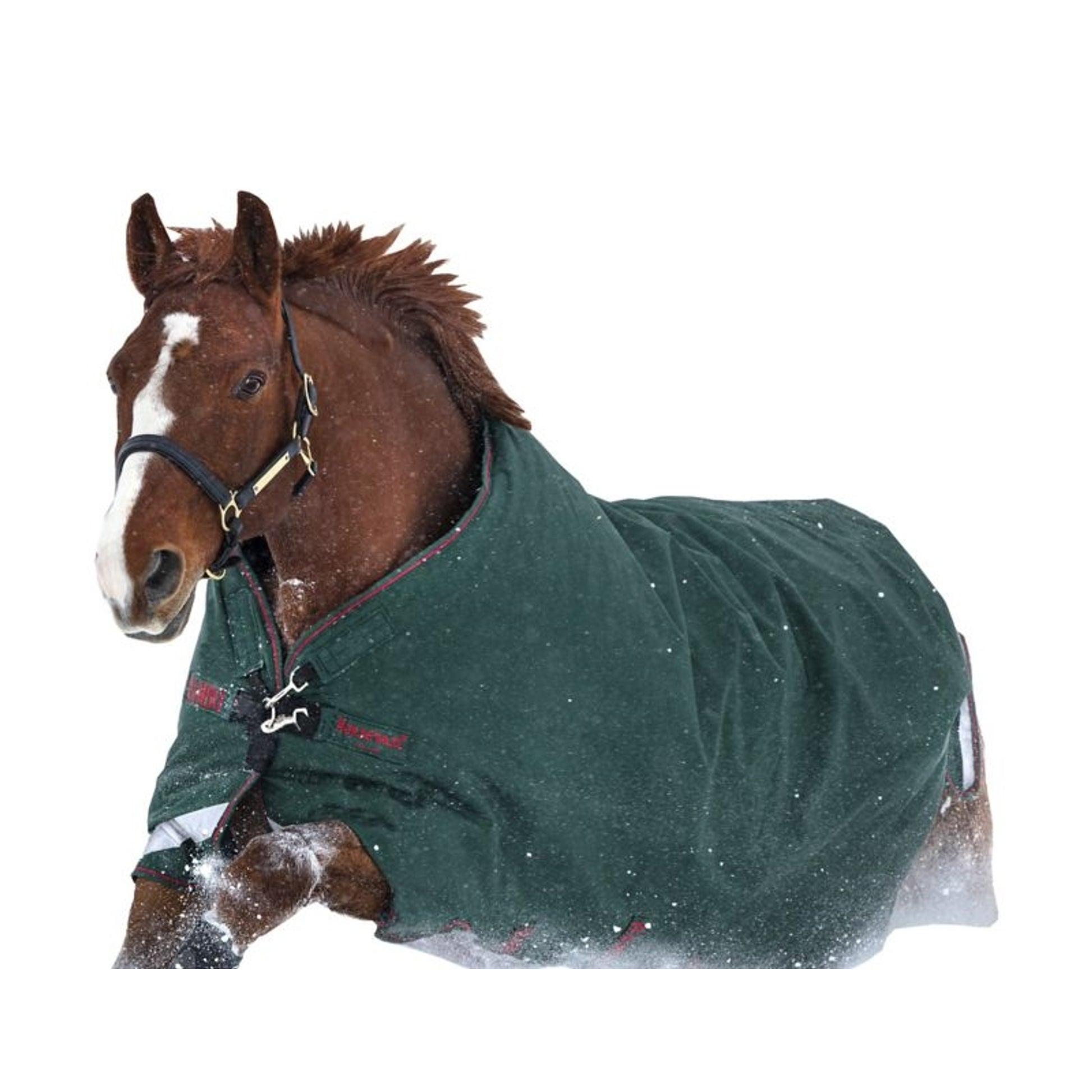Rambo Original Arch Blanket 100g