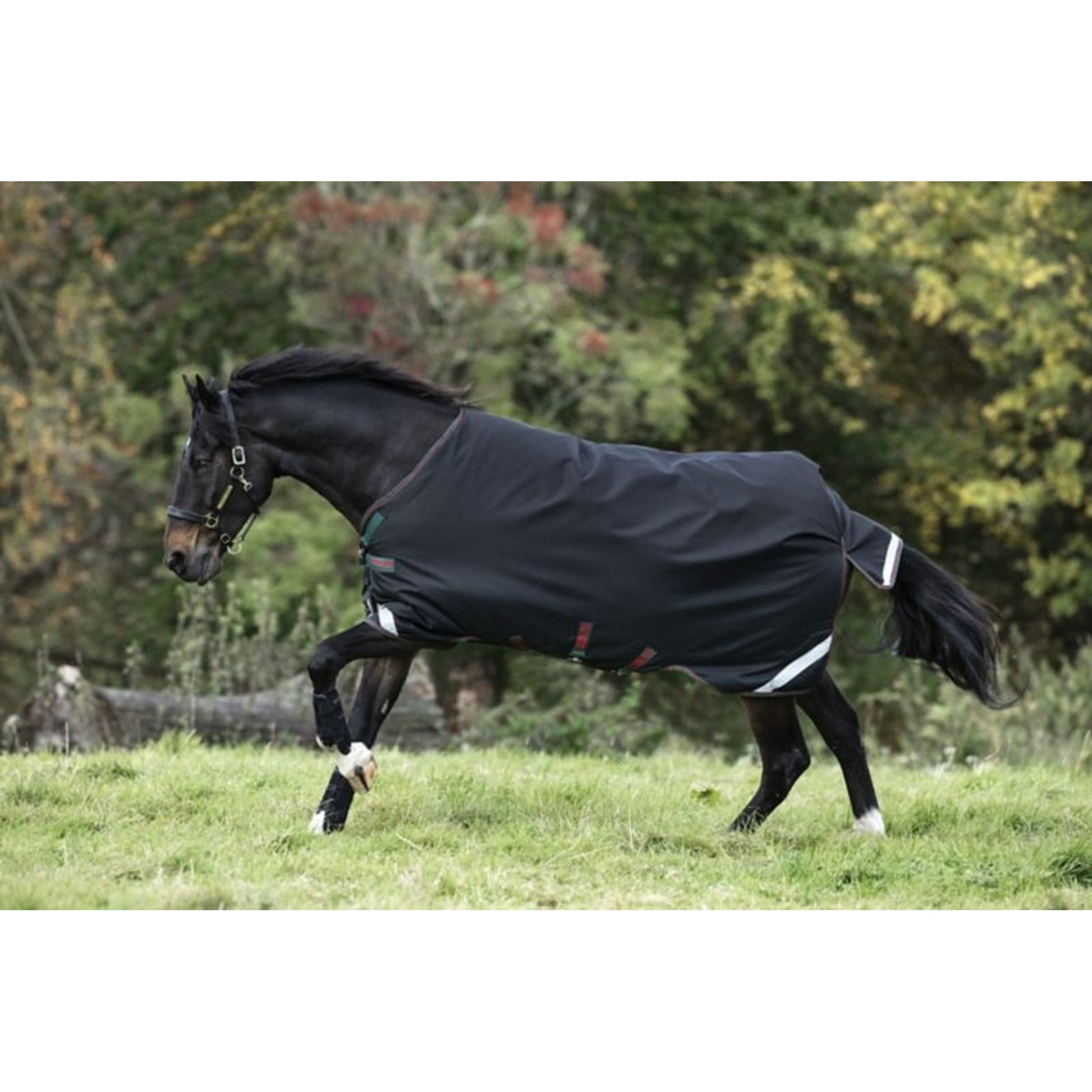 Rambo Original Arch Blanket 200g