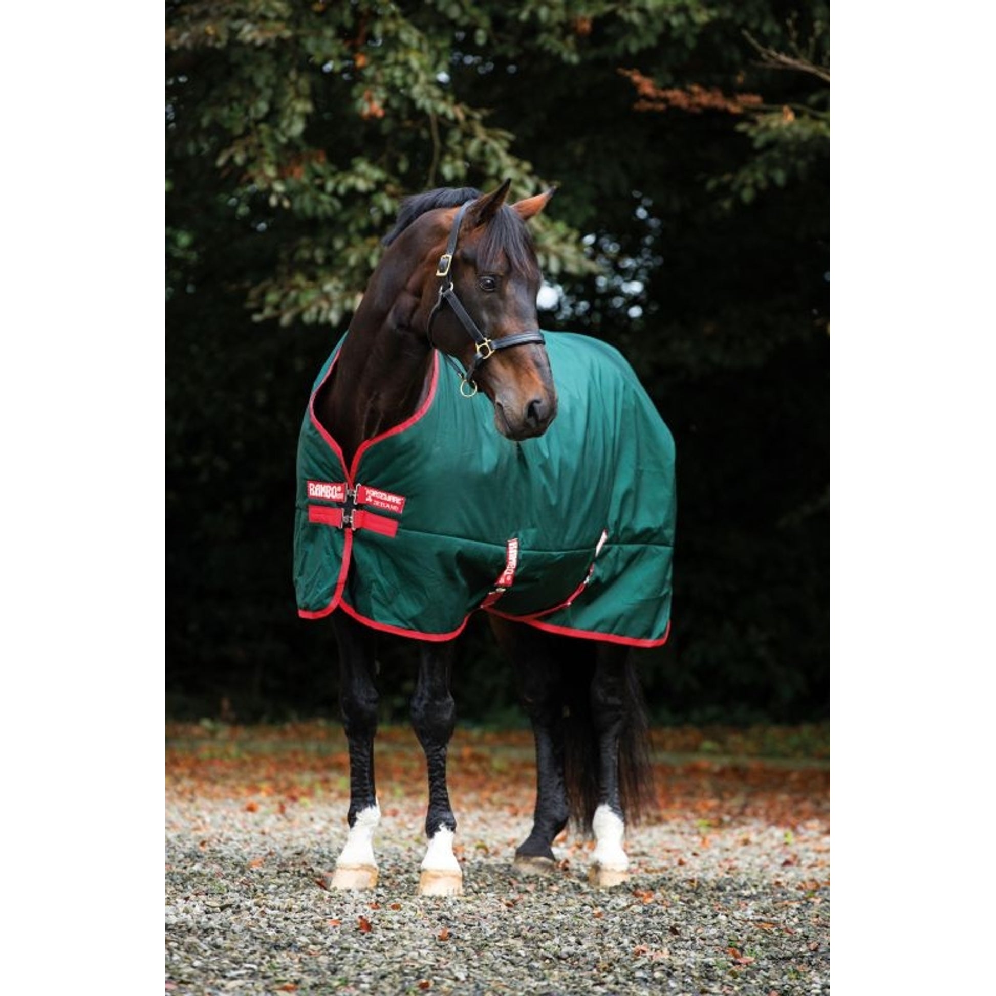 Rambo Original Turnout Lite 0g