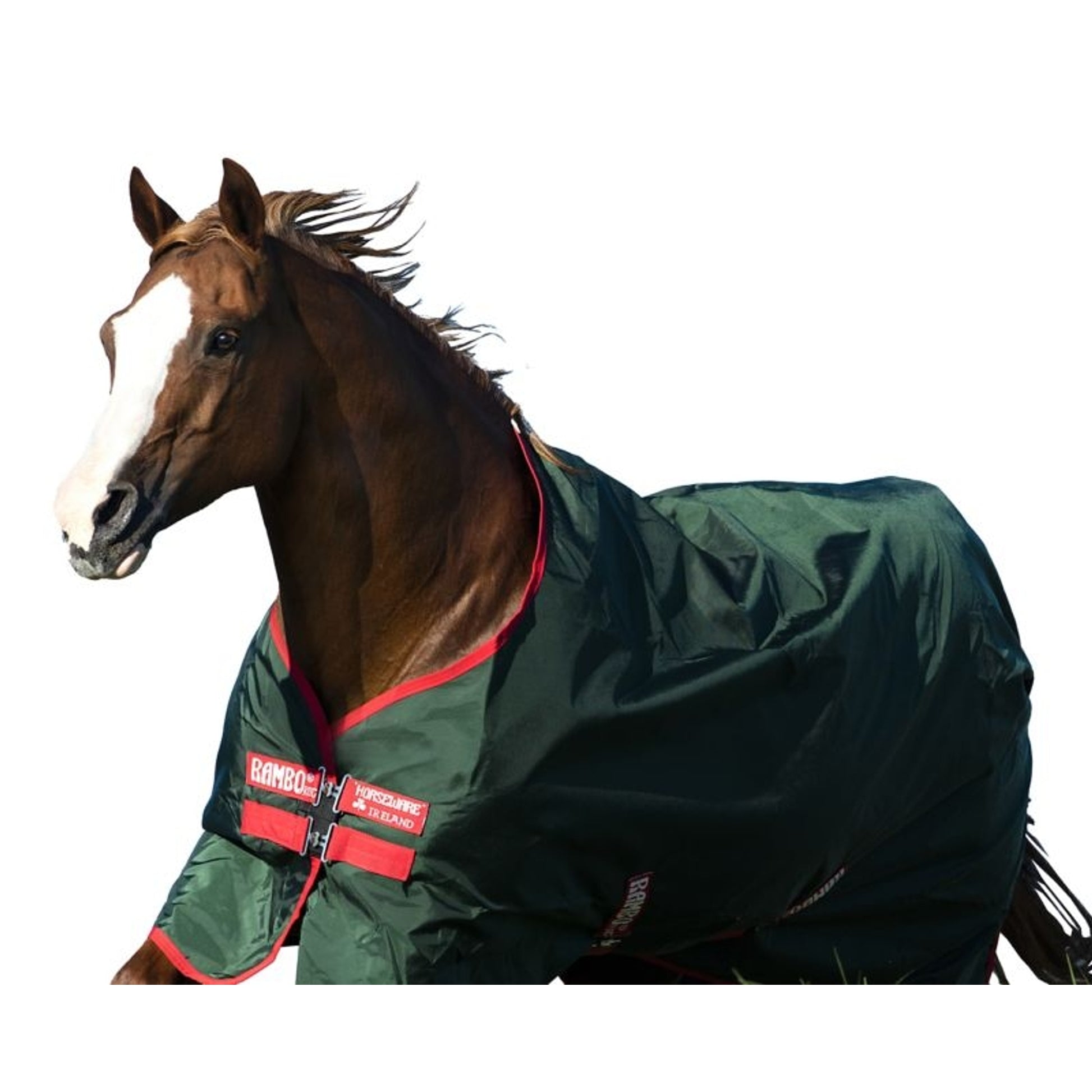 Rambo Original Turnout Lite 0g