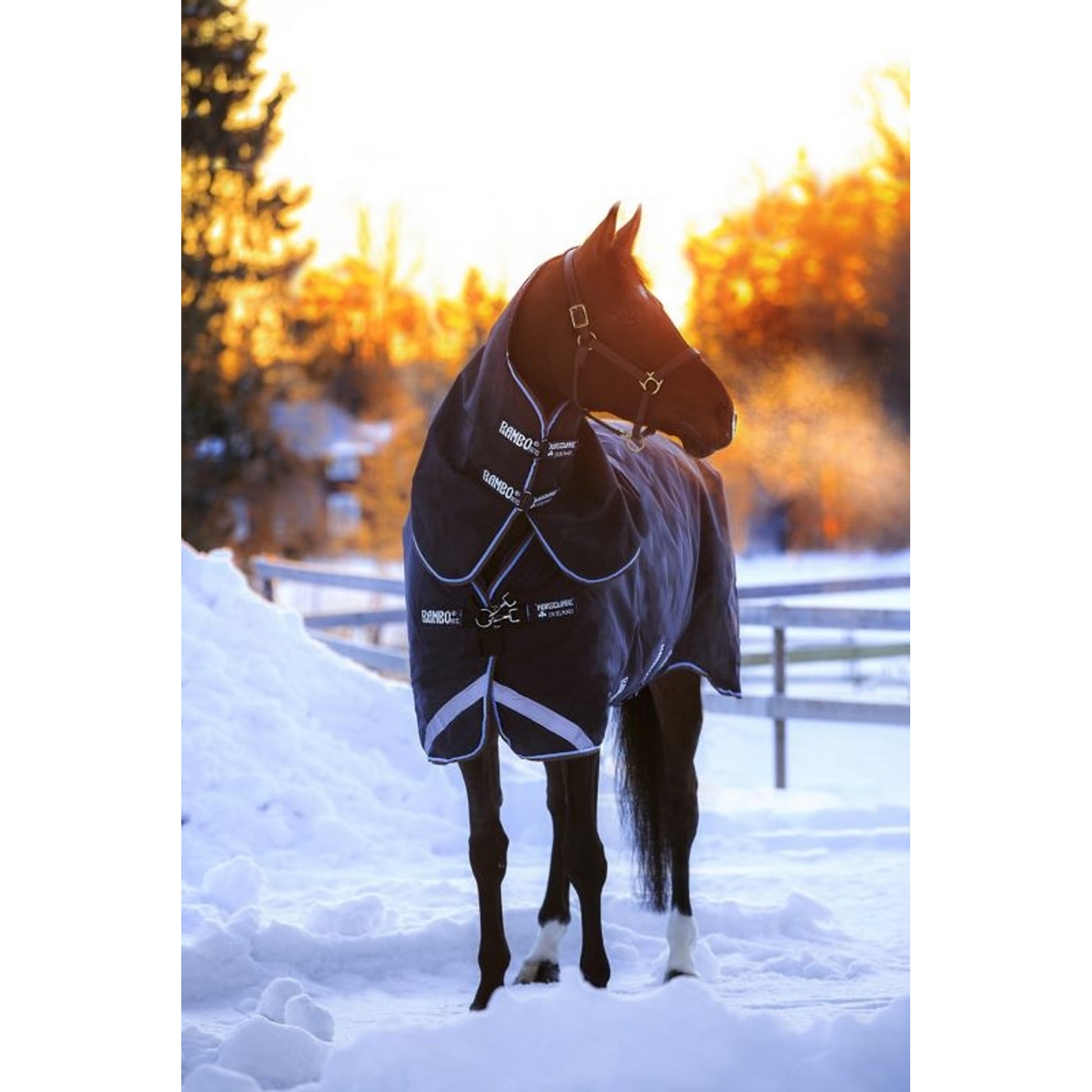 Rambo Duo Turnout Blanket