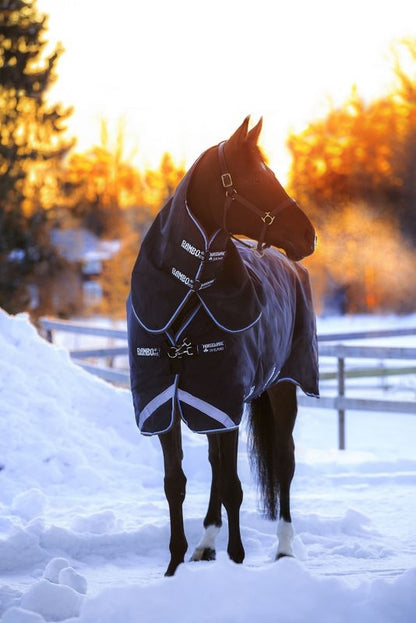 Rambo Duo Turnout Blanket
