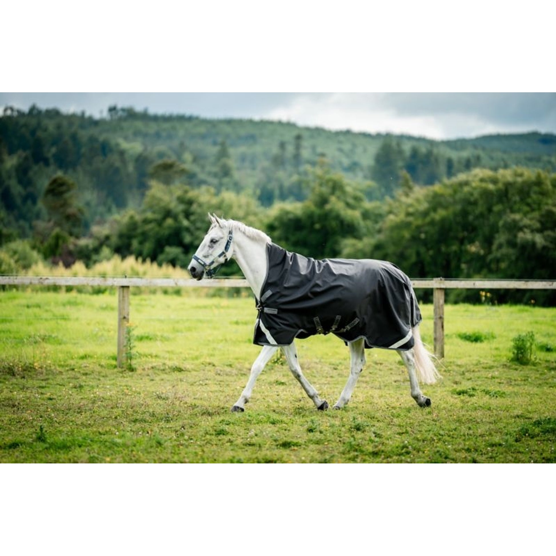 Rambo Wug Turnout Lite 50g