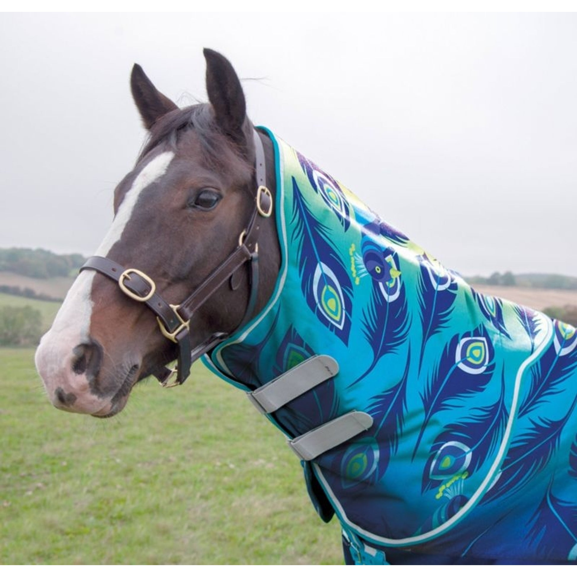 Shires Tempest Org Lite Hood