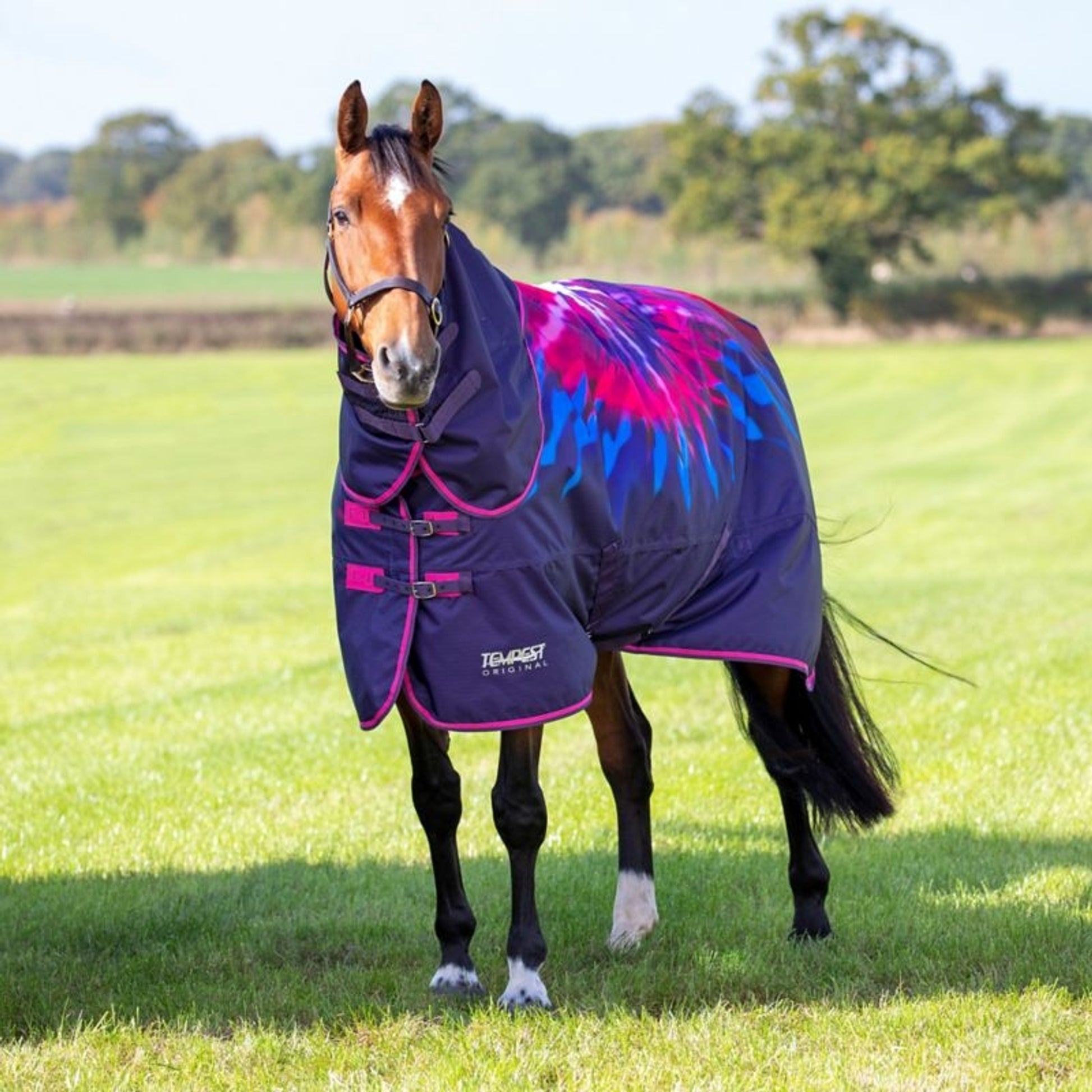 Shires Tempest Org Lite Hood