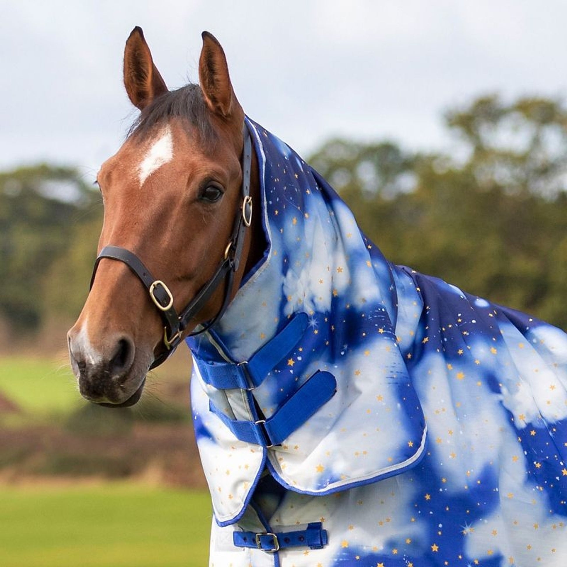 Shires Tempest Org 200g Hood