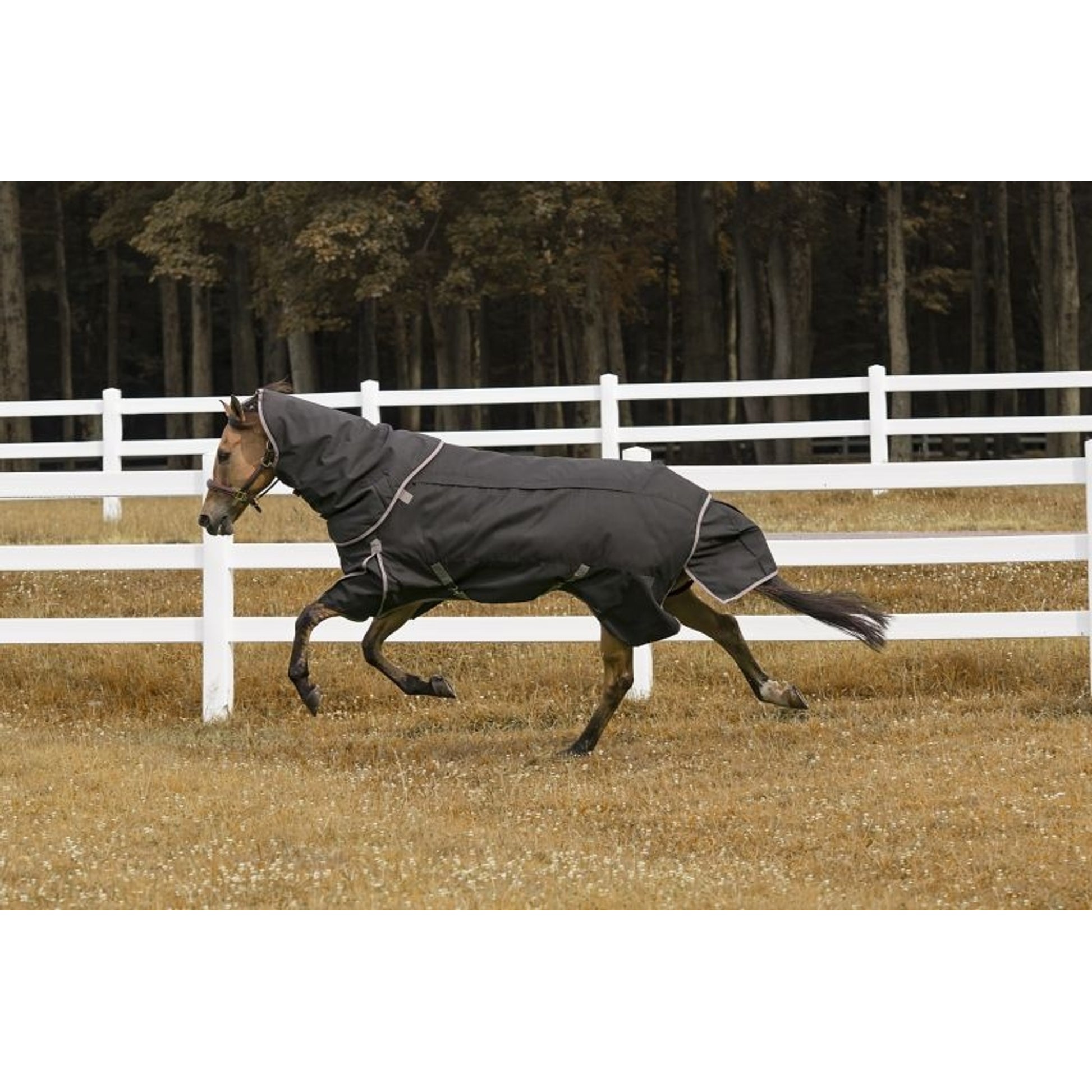 TuffRider All Seasons Blanket