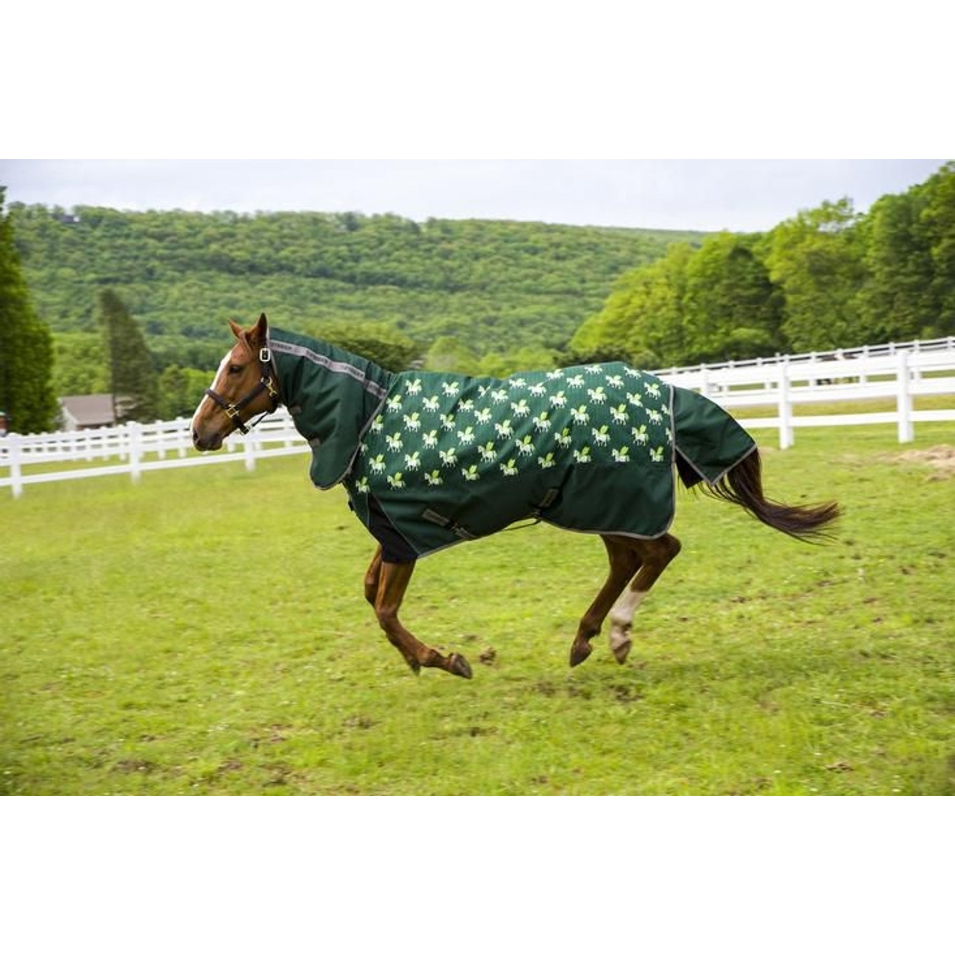 TuffRider 1200D Combo Neck Pony Blanket