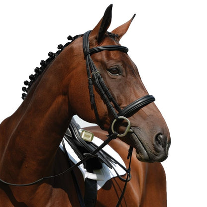 Collegiate Syntovia Cavesson Bridle