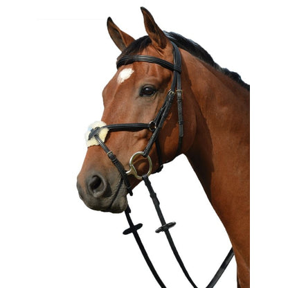 Collegiate Syntovia Figure 8 Bridle