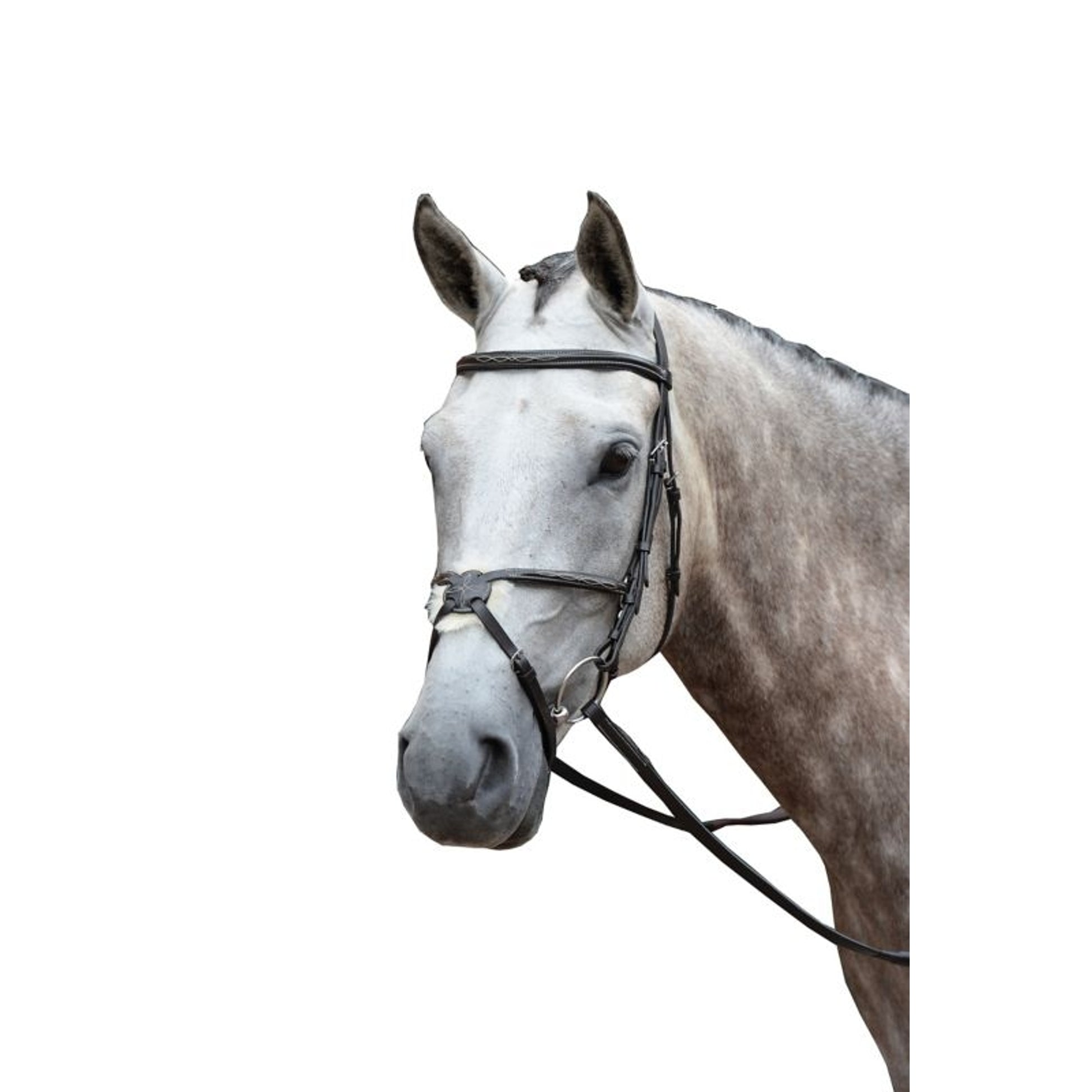 Collegiate Essential Fancy Figure 8 Bridle