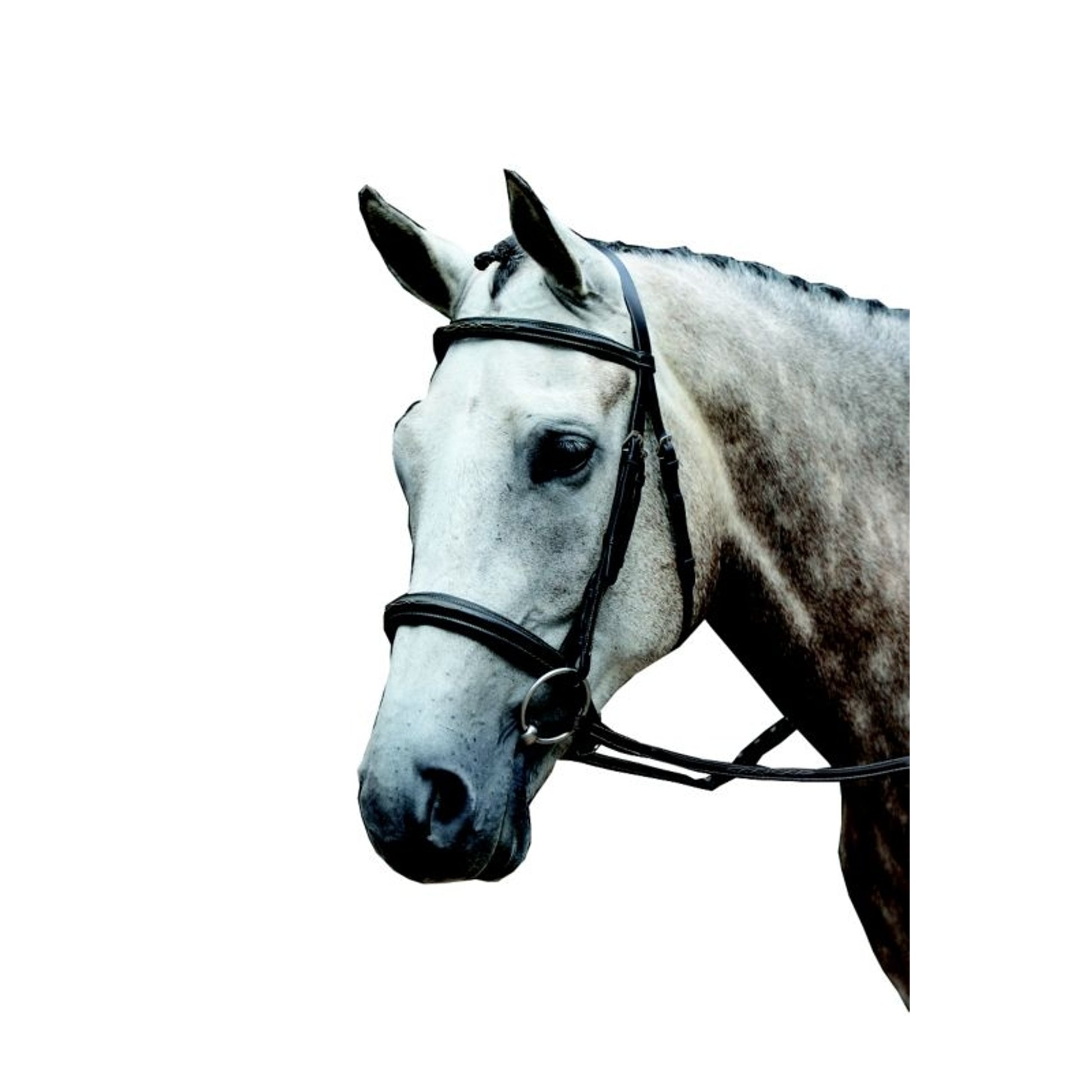 Collegiate Essential Fancy Cavesson Bridle