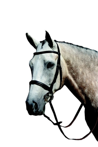Collegiate Essential Cavesson Bridle