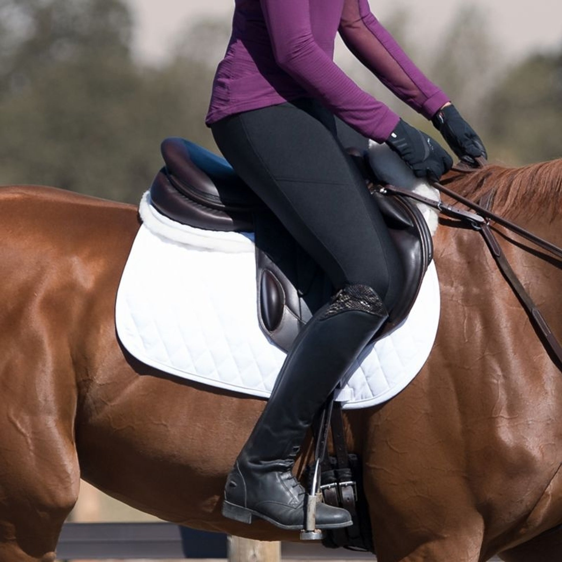 Irideon Ladies Plus Thermasoft Breech