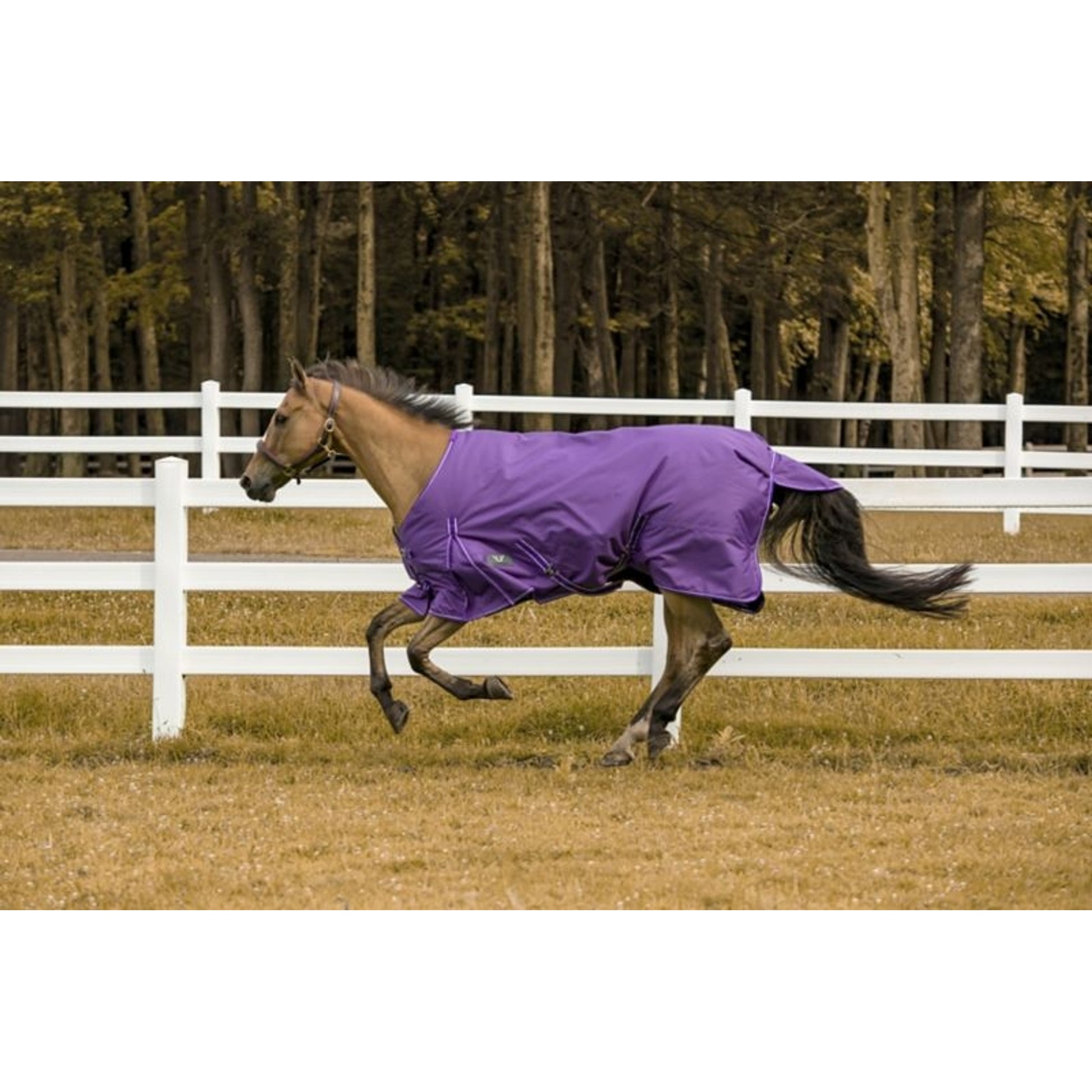 TuffRider 1200D Comfy Turnout Blanket