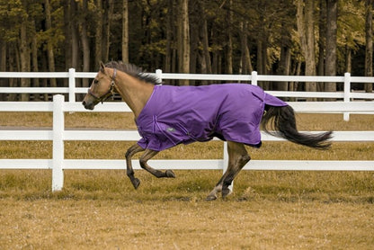 TuffRider 600D Comfy Turnout Blanket