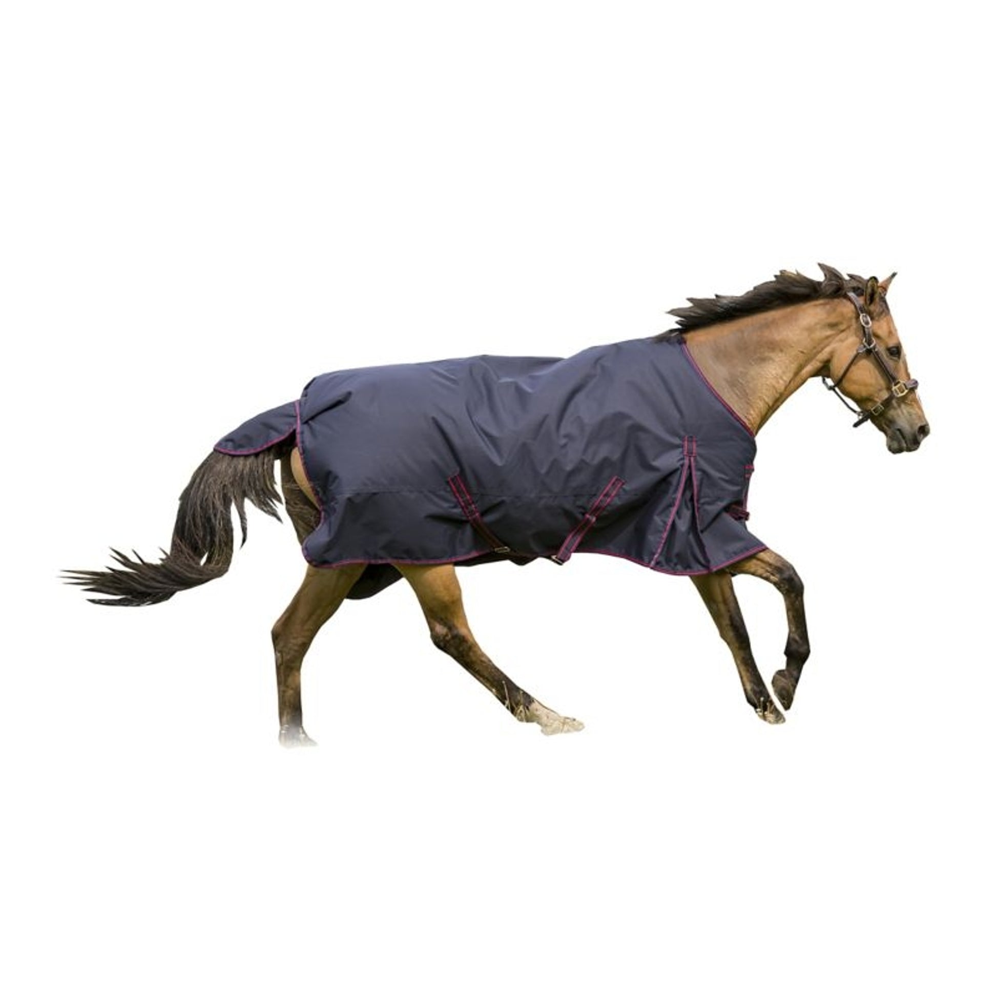TuffRider 600D Comfy Turnout Blanket