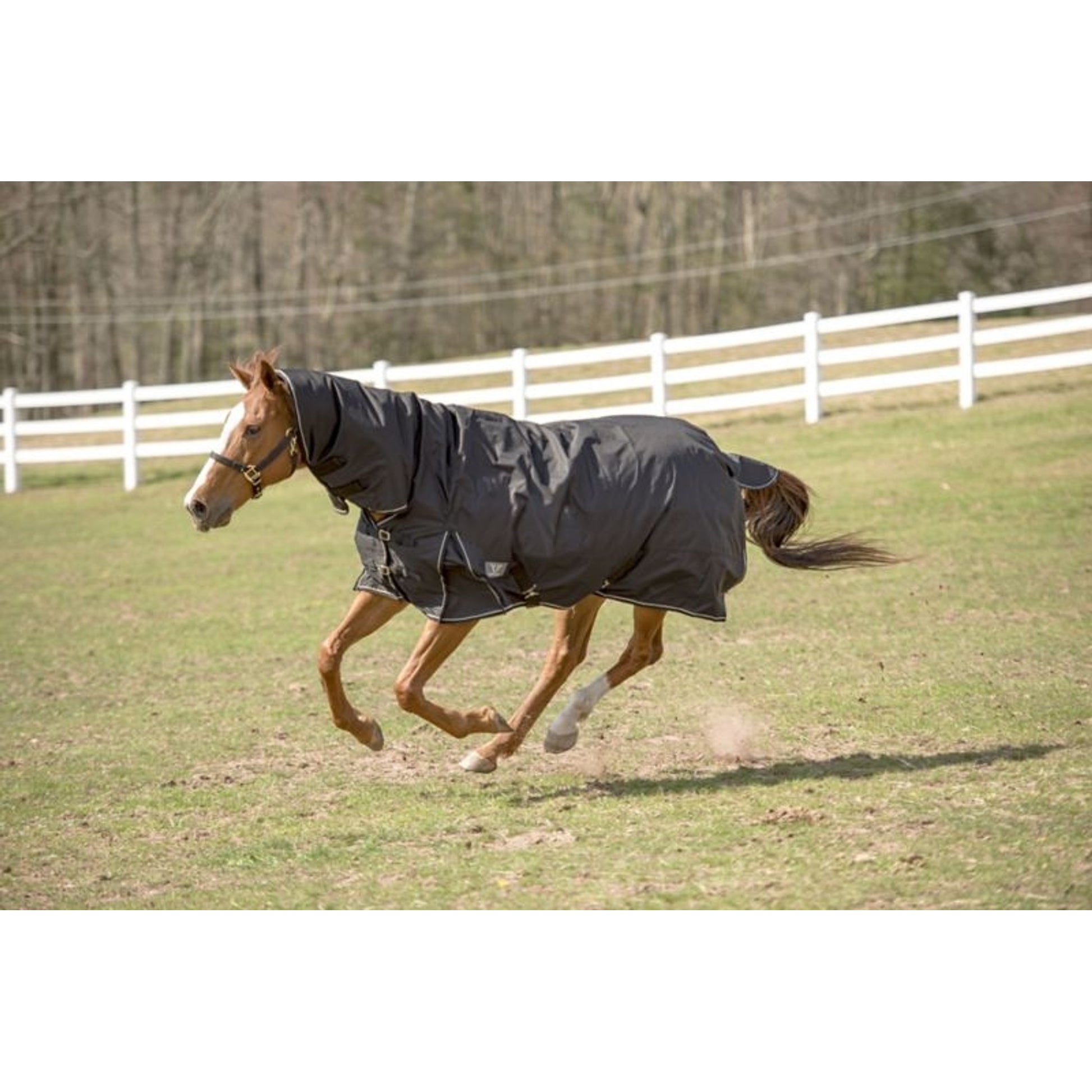 TuffRider 600D Comfy Turnout Blanket