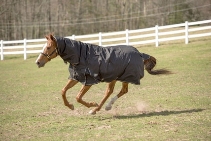 TuffRider 600D Comfy Turnout Blanket