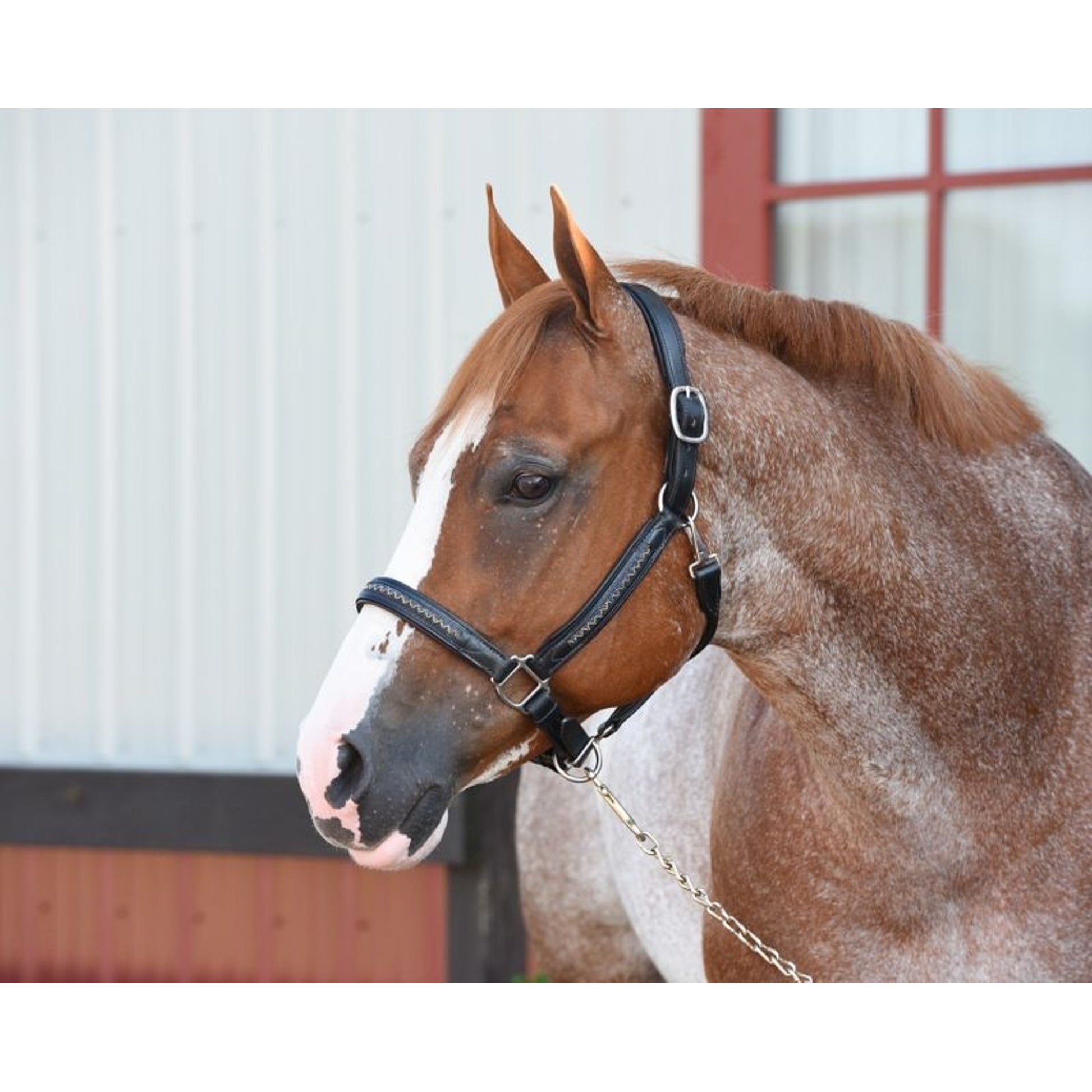 Perris Chevron Bling Halter