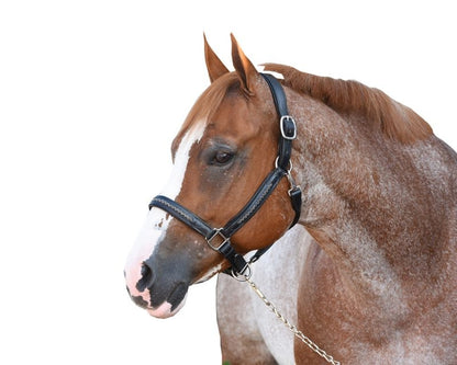 Perris Chevron Bling Halter