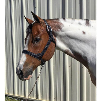 Perris Crocodile Embossed Show Halter