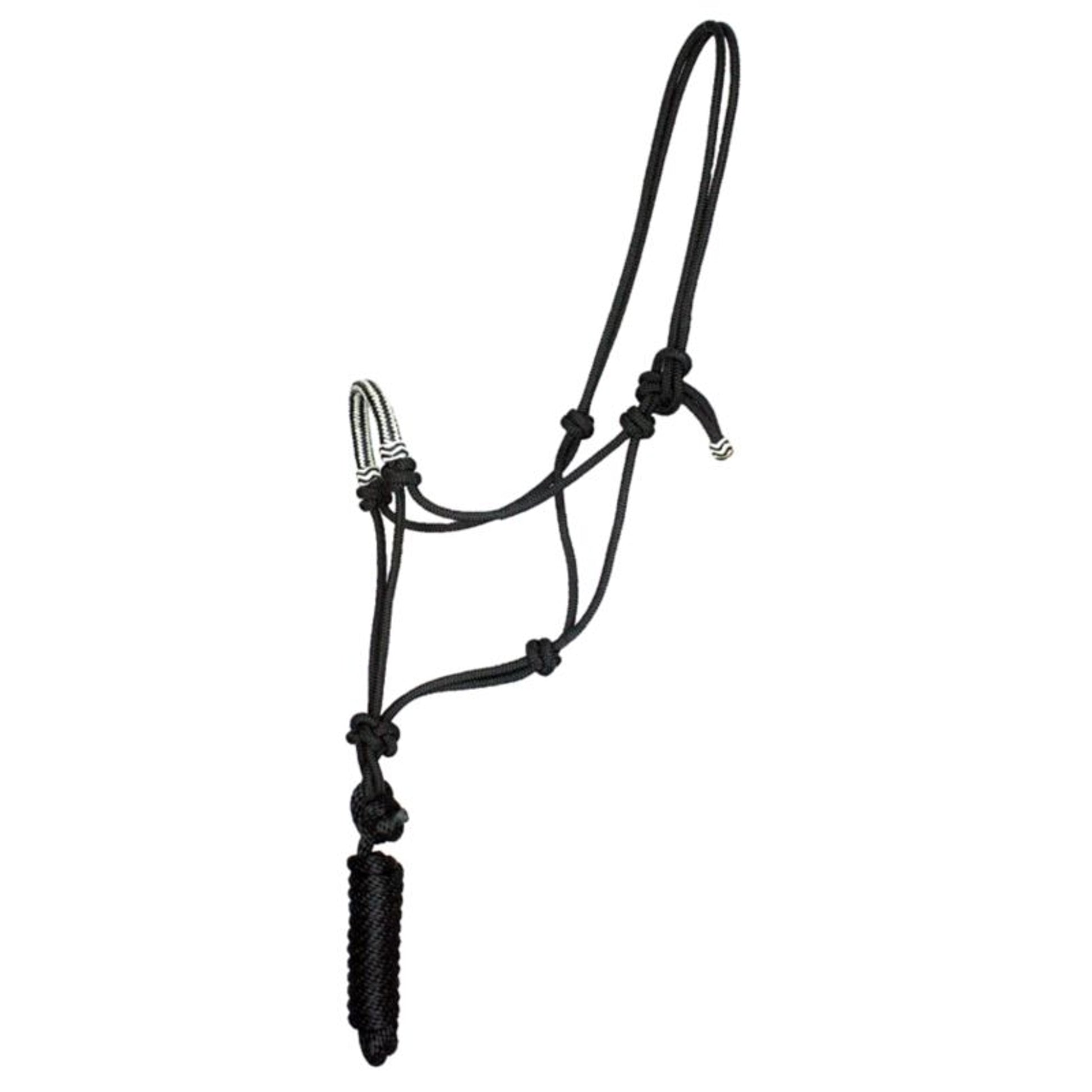 Oxbow Braided Nose Rope Halter with Rawhide
