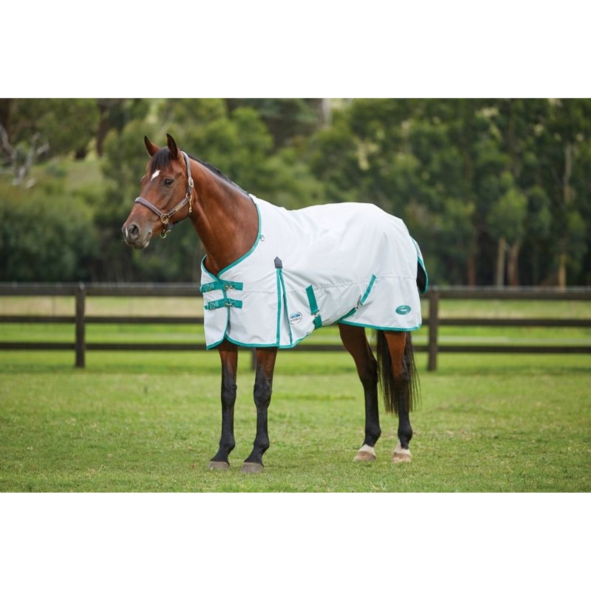 Weatherbeeta Green-Tec 900D Standard Neck Lite Plus