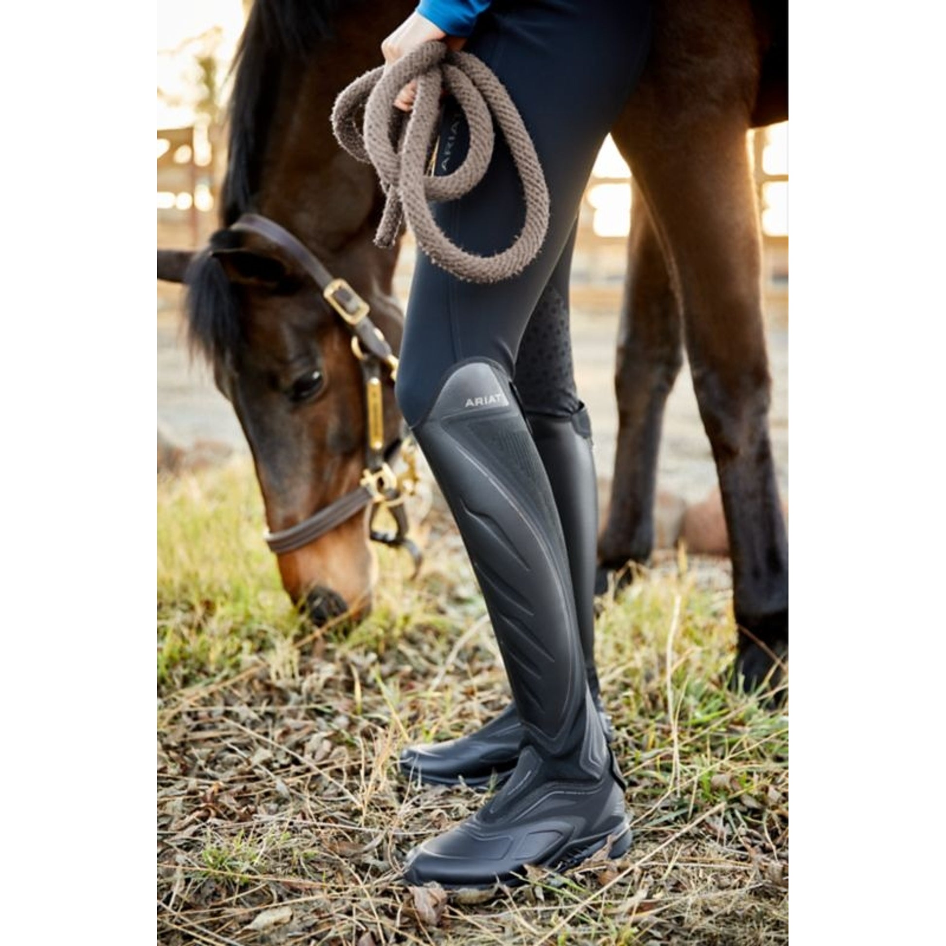 Ariat Womens Ascent Tall Boot