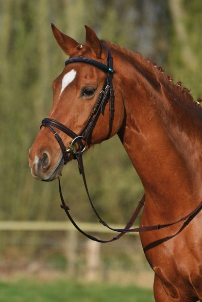 Stubben RFS Leitrim Bridle