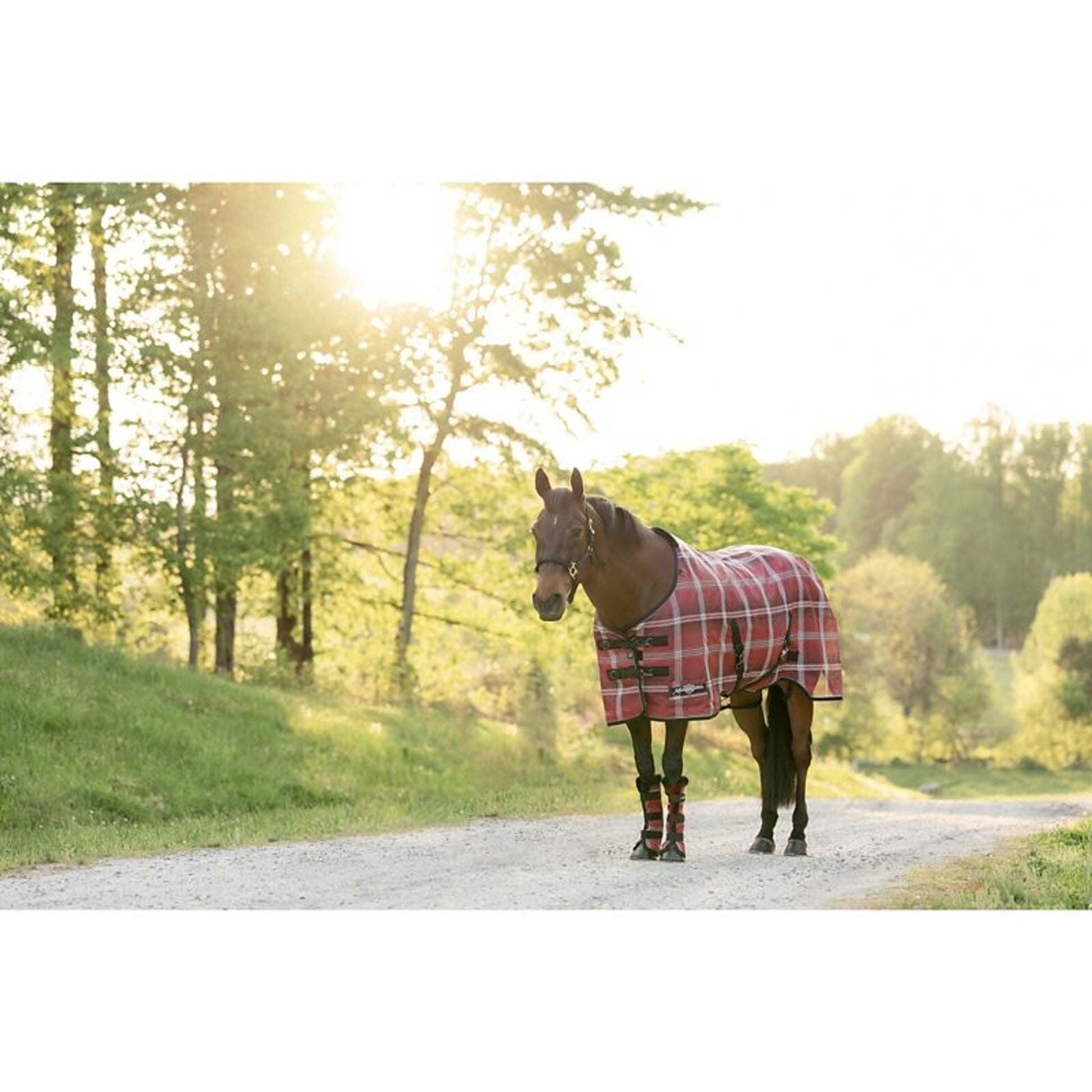Kensington 73% UV Protective Fly Sheet