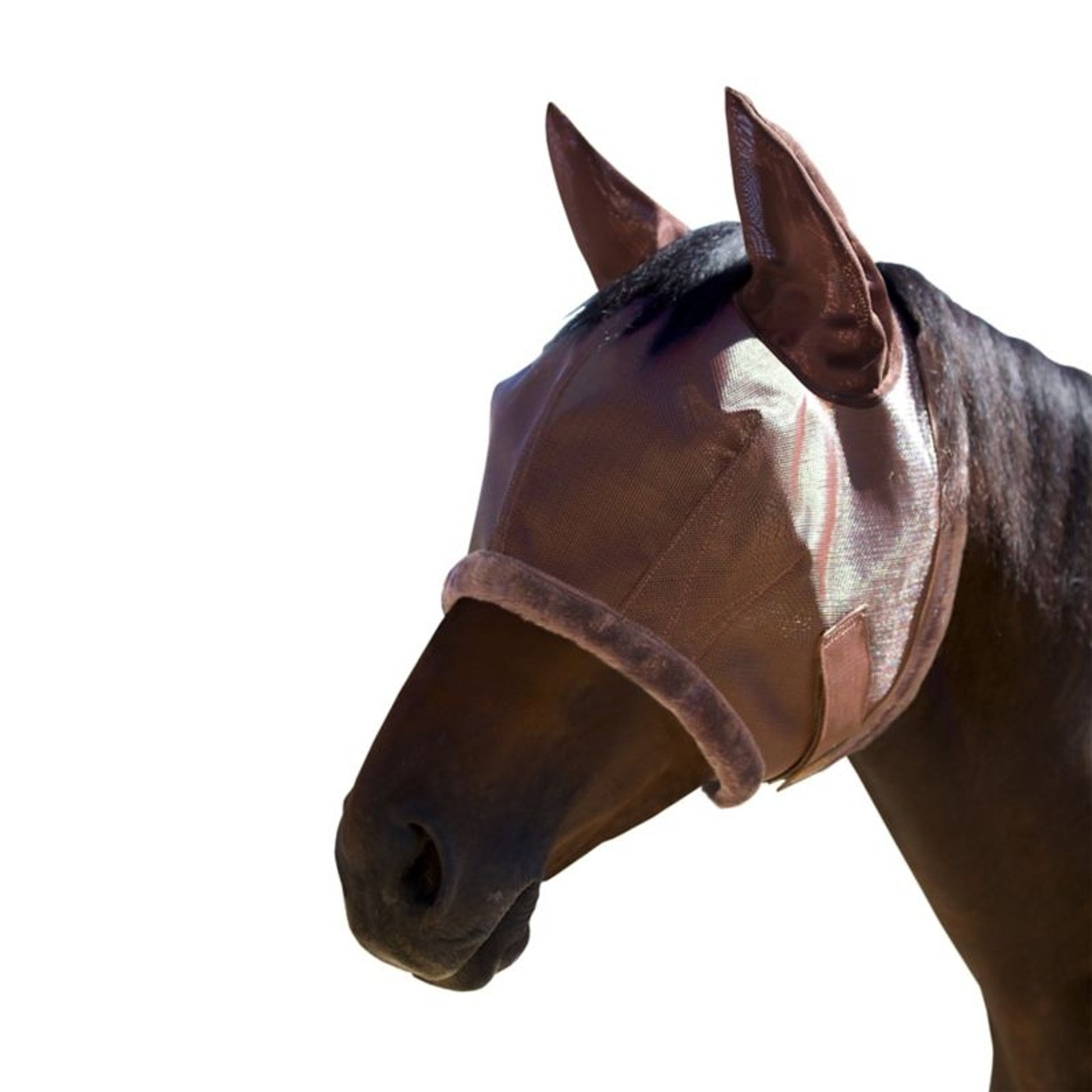 Kensington Fly Mask Fleece Ears