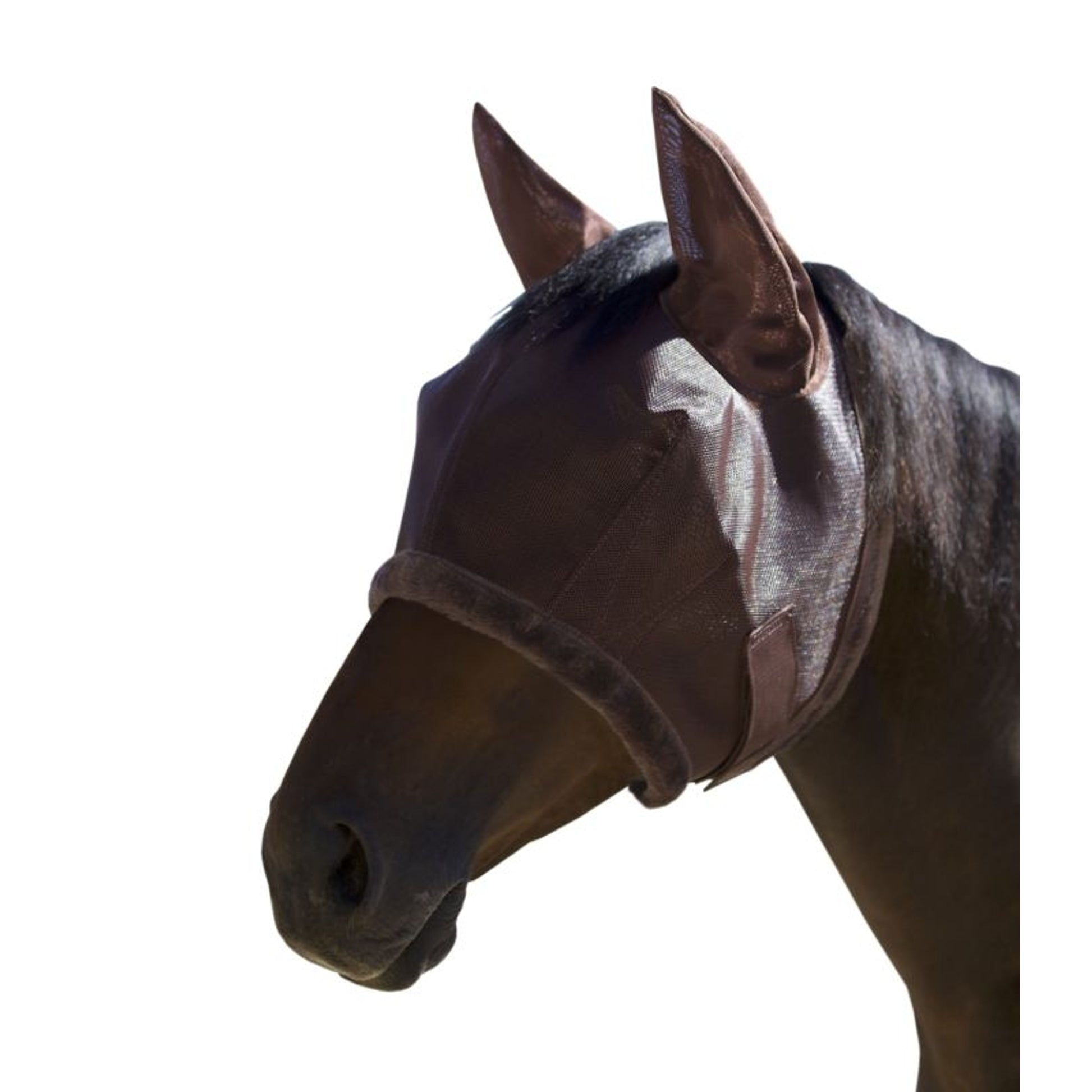 Kensington Fly Mask Fleece Ears