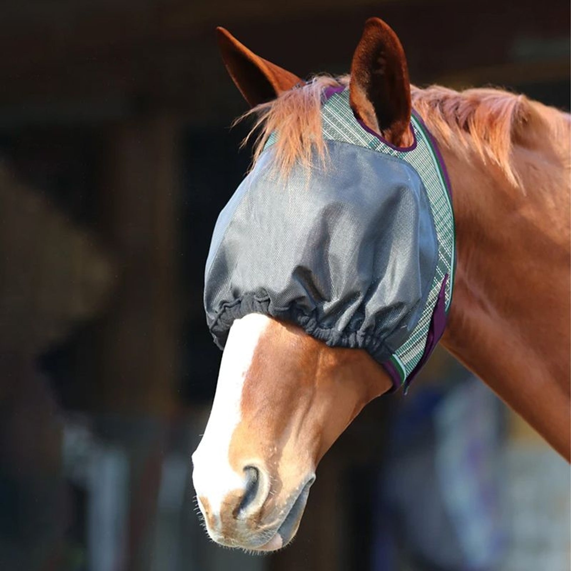 UViator Fly Mask with Web Trim