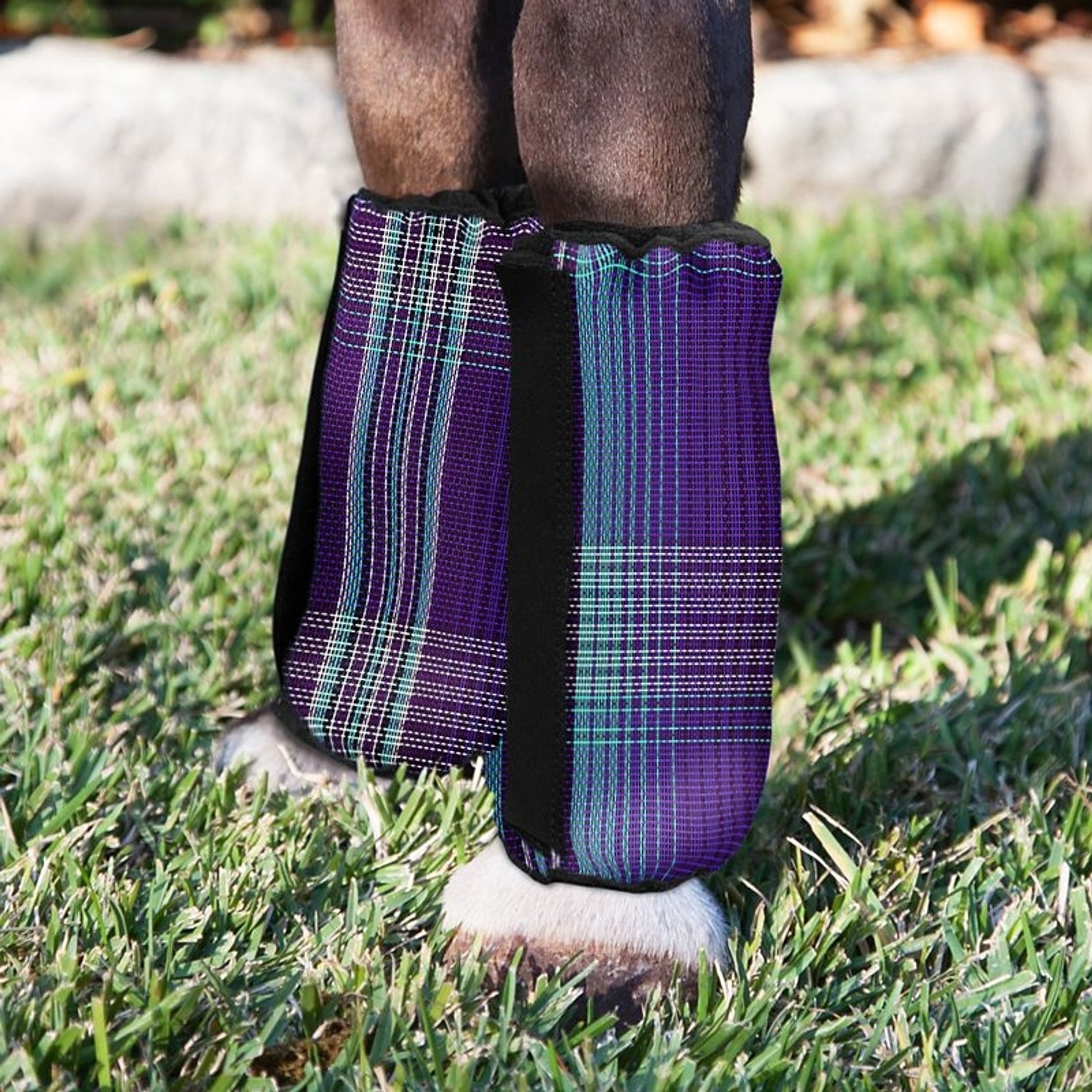 Kensington Bubble Fly Boots Pony