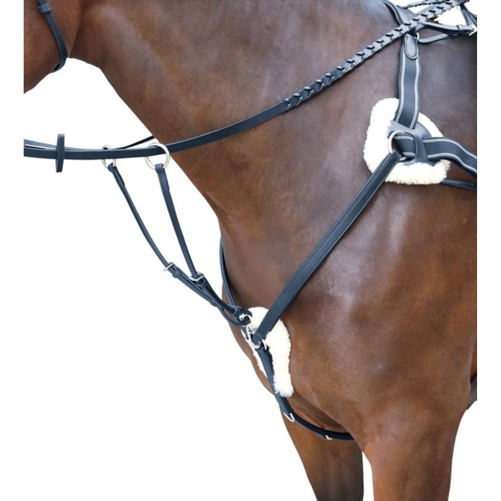 Rossano Five Point Breastplate