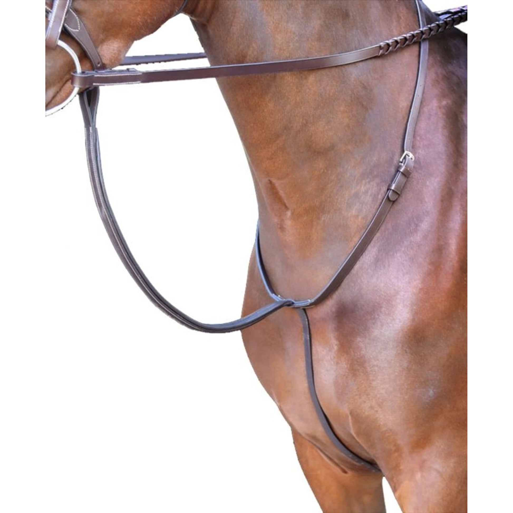 Rossano Standing Martingale