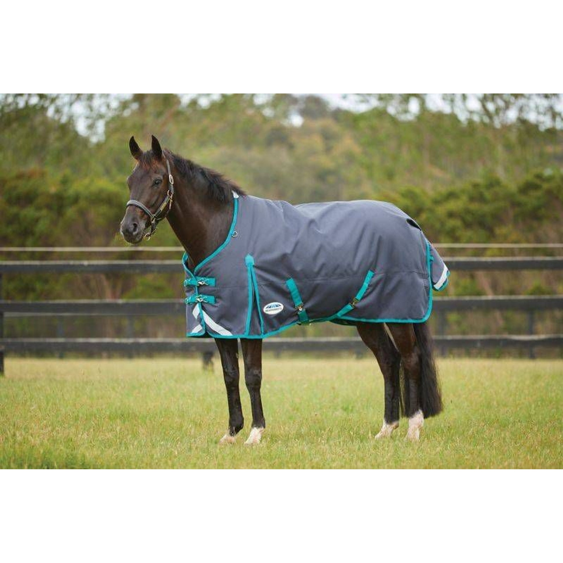WeatherBeeta Plus Std Neck Medium
