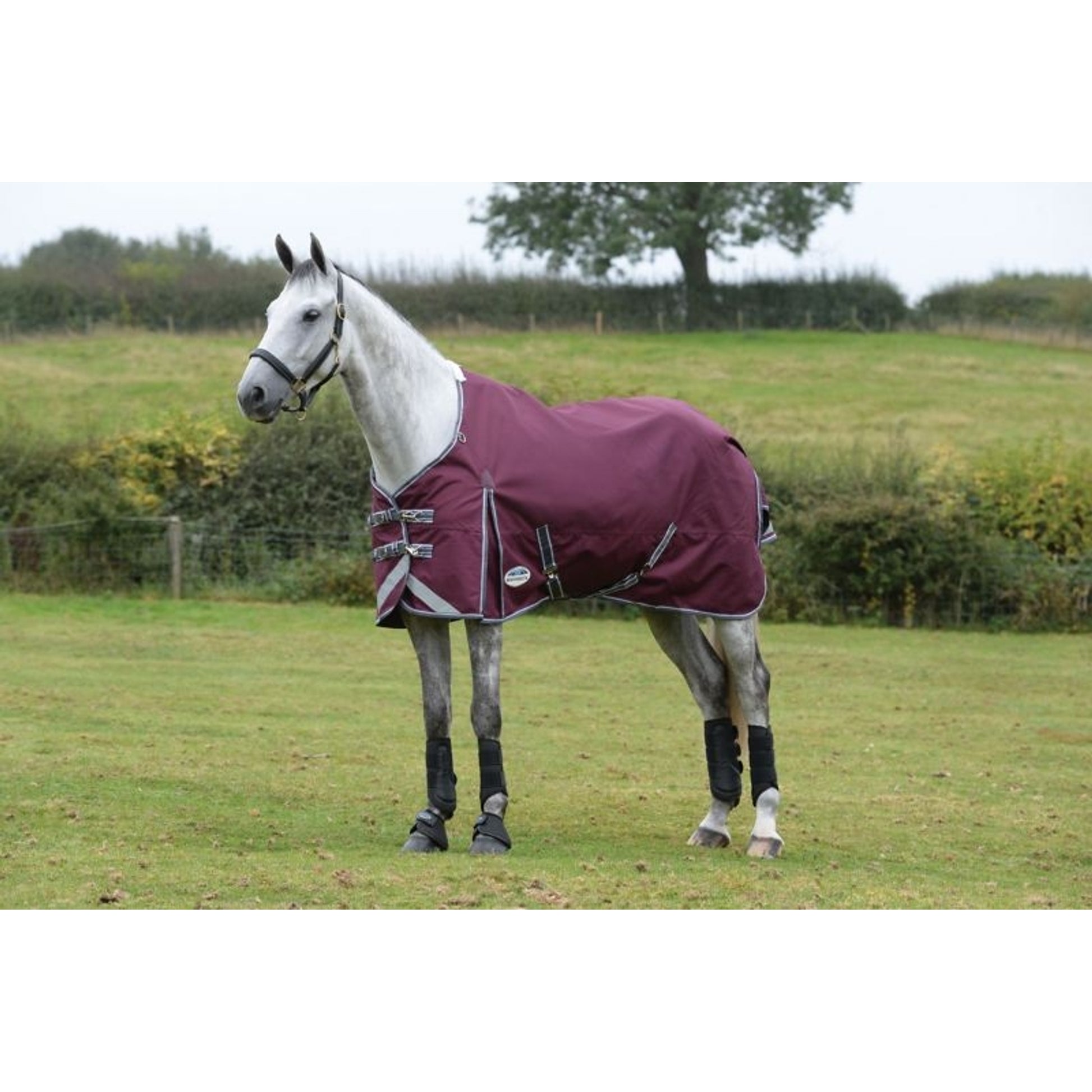 WeatherBeeta Plus Std Neck Lite TO