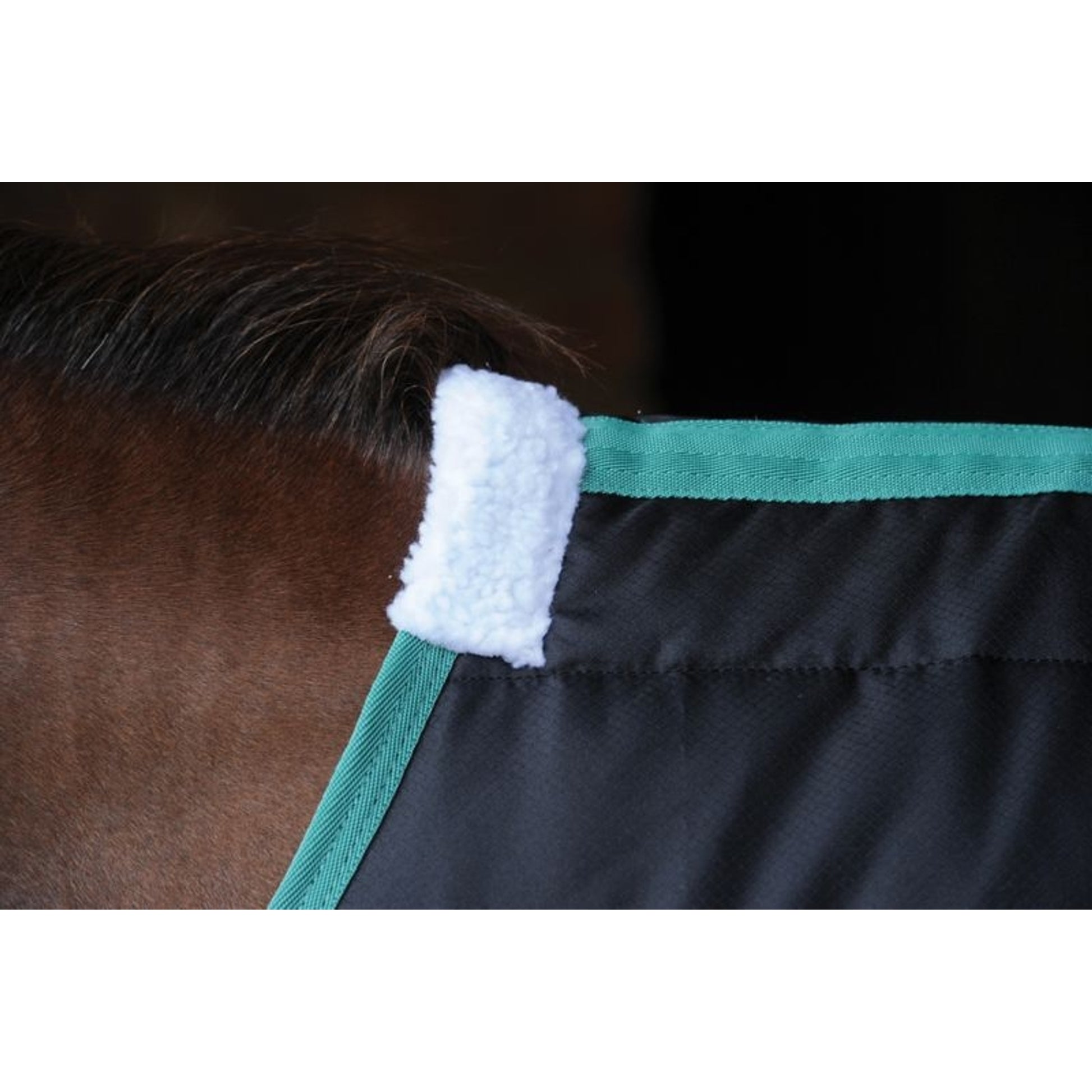 Weatherbeeta Green-Tec Stable Standard Neck Medium/Lite Turnout