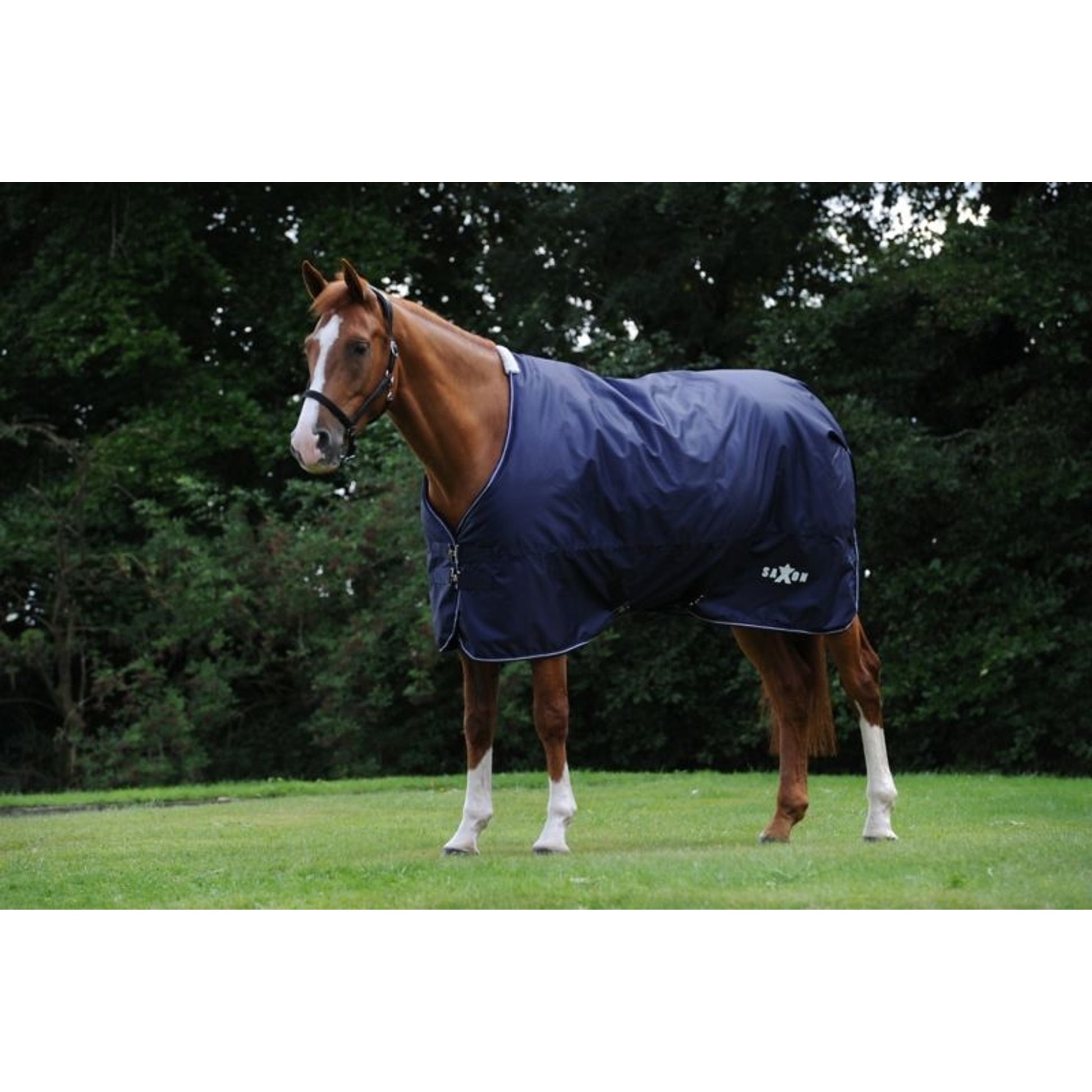 Saxon Defiant 600D Lite Sheet