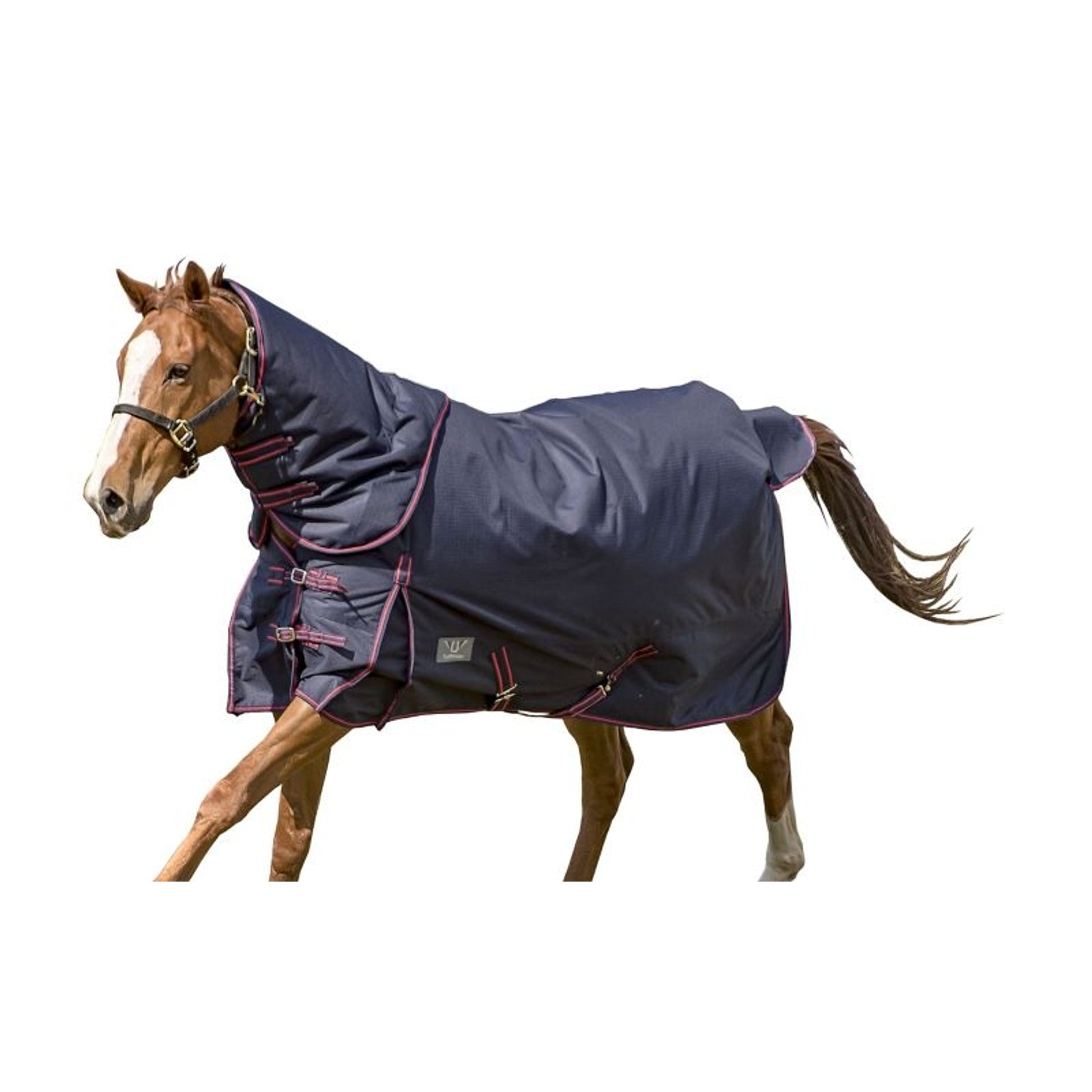 TuffRider 1200D Comfy Medium DAN Blanket