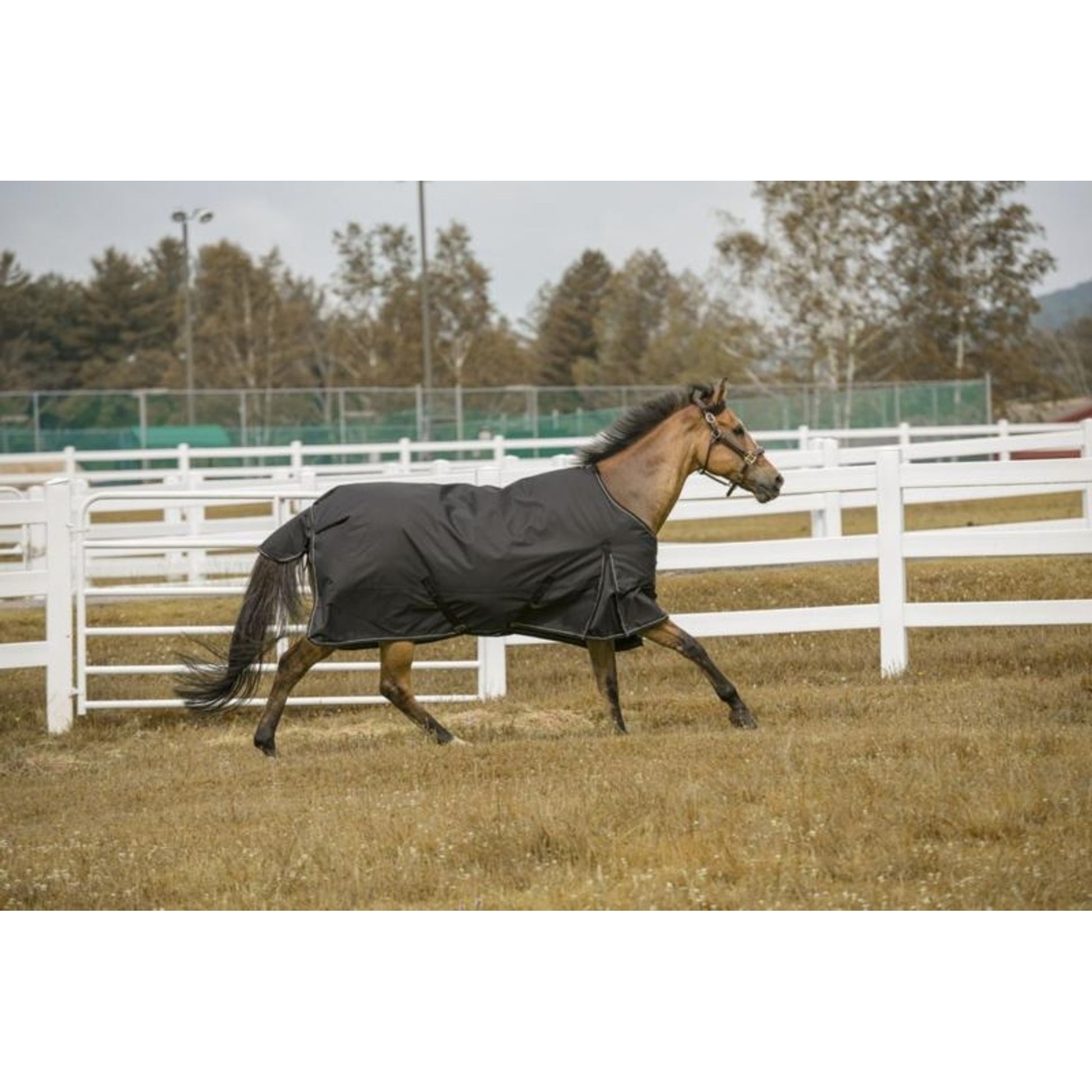 TuffRider 600D Comfy Standard Neck Sheet