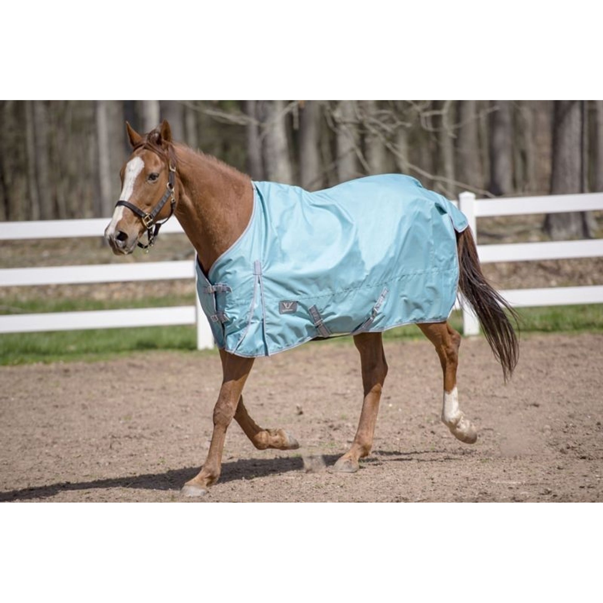 TuffRider 600D Comfy Standard Neck Sheet