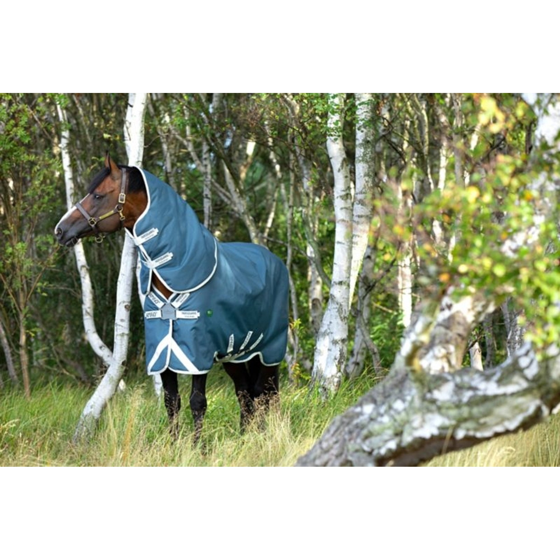 AmEco Bravo 12 Plus Turnout Sheet